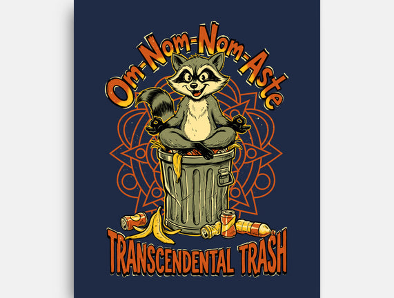 Transcendental Trash