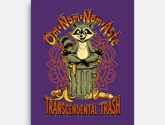 Transcendental Trash