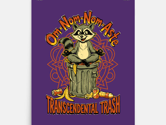 Transcendental Trash