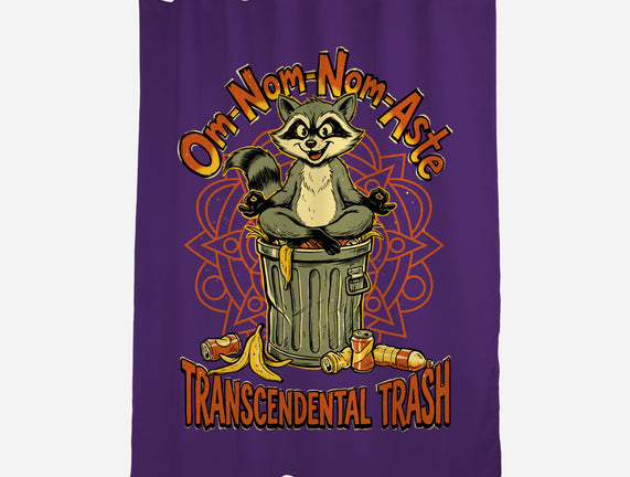 Transcendental Trash