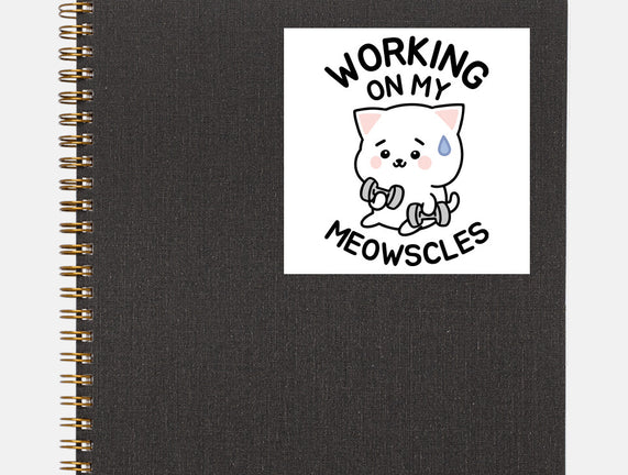 Working On My Meowscles
