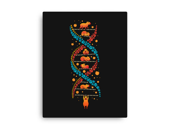 Capybara DNA