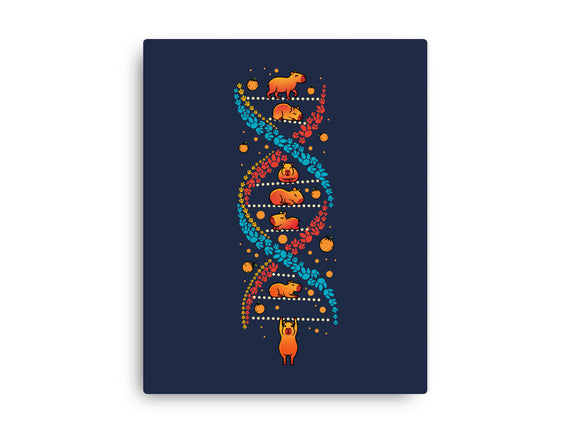 Capybara DNA