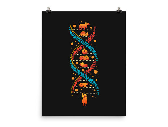 Capybara DNA