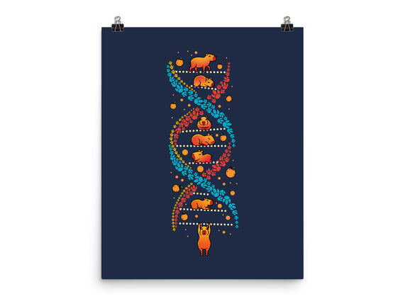 Capybara DNA