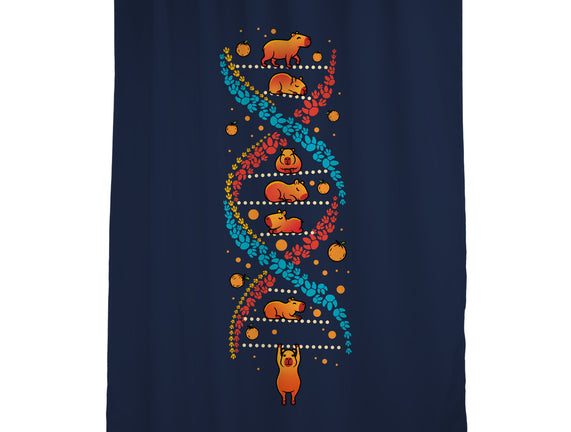 Capybara DNA