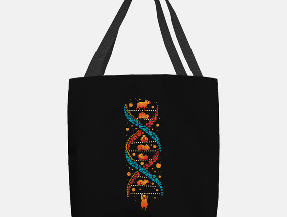 Capybara DNA
