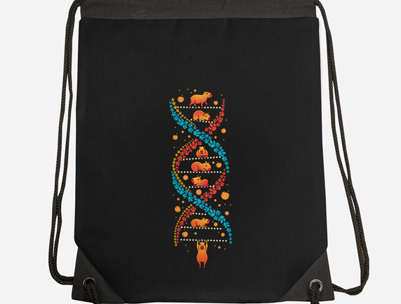 Capybara DNA