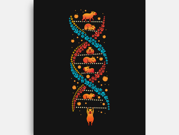 Capybara DNA