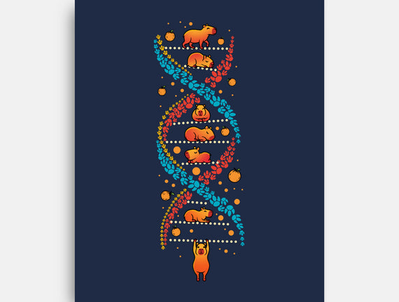 Capybara DNA