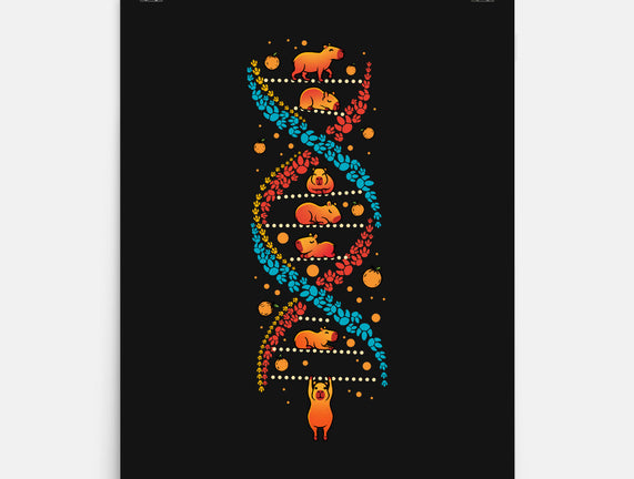 Capybara DNA