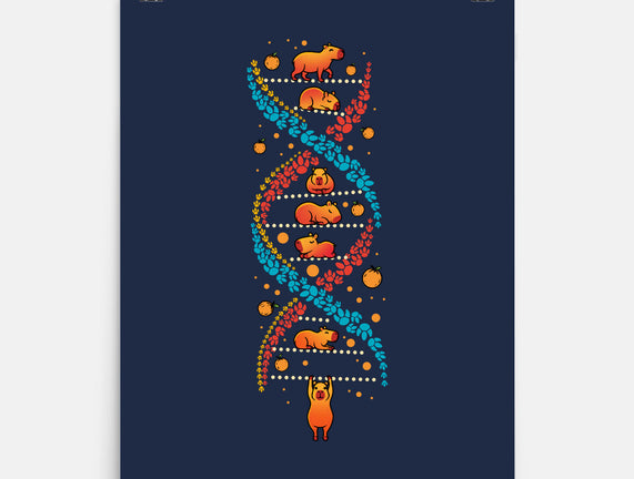 Capybara DNA