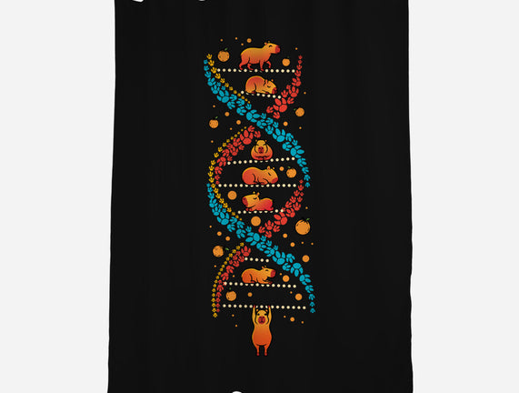 Capybara DNA