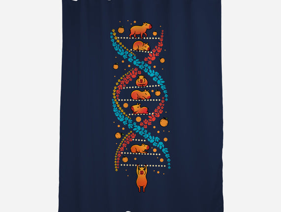 Capybara DNA