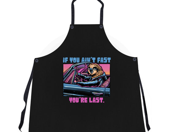 Fast Or Last