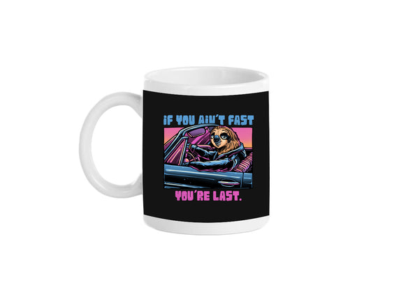 Fast Or Last