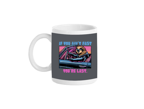 Fast Or Last