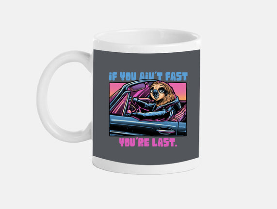 Fast Or Last