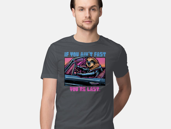 Fast Or Last
