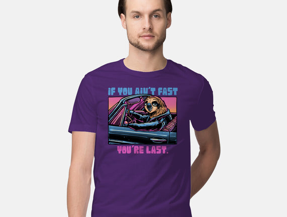 Fast Or Last