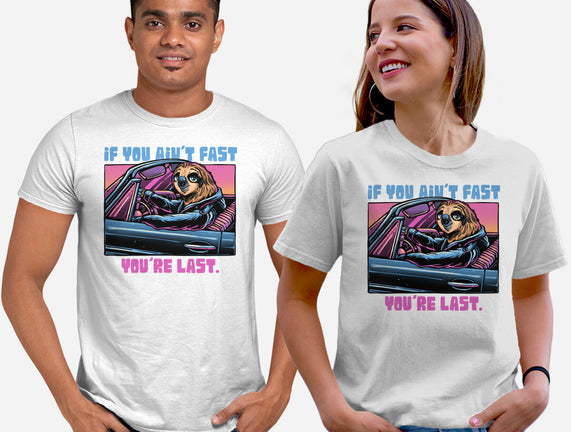 Fast Or Last