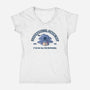 Professional Pessimist-Womens-V-Neck-Tee-erion_designs