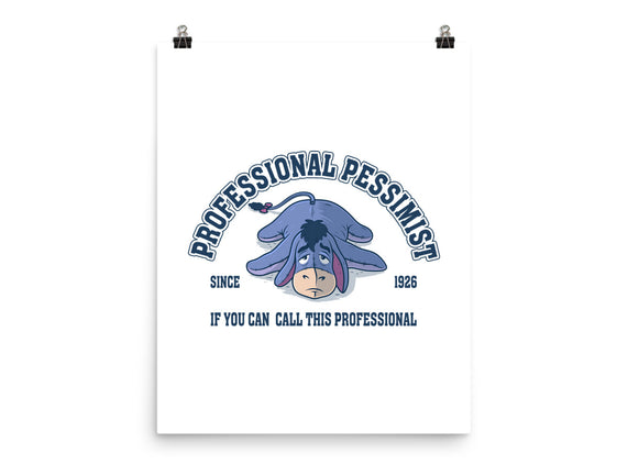 Professional Pessimist