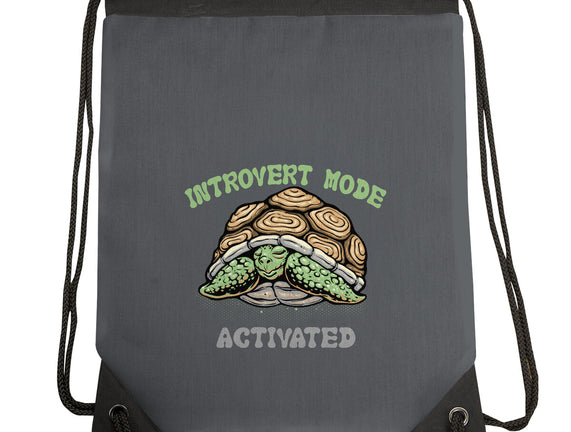 Introvert Mode Activated