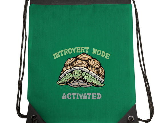 Introvert Mode Activated