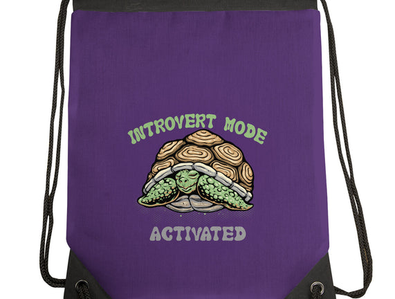 Introvert Mode Activated
