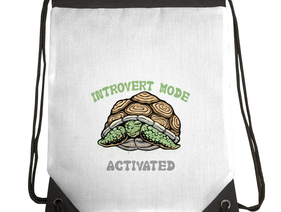 Introvert Mode Activated