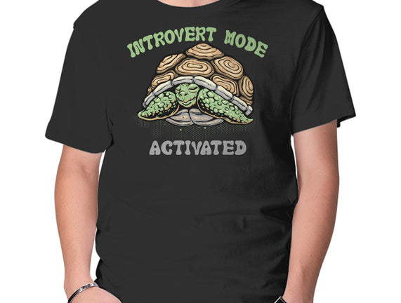 Introvert Mode Activated