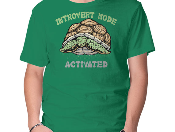 Introvert Mode Activated