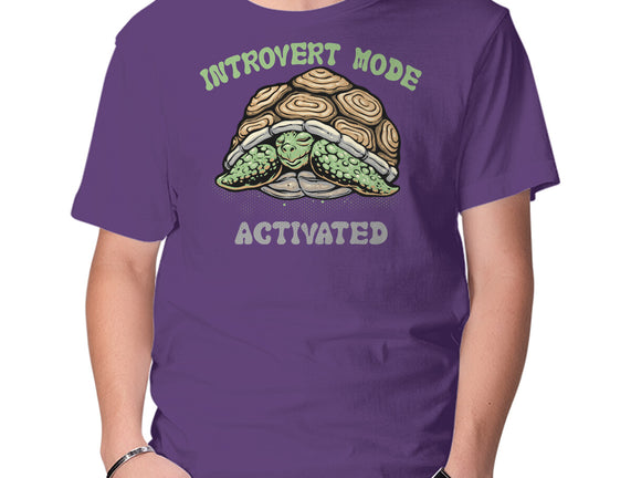 Introvert Mode Activated