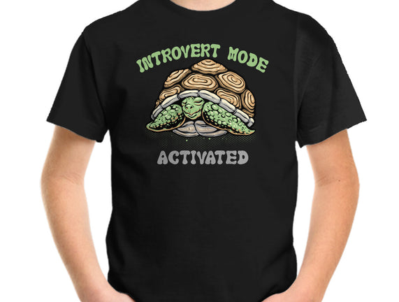 Introvert Mode Activated