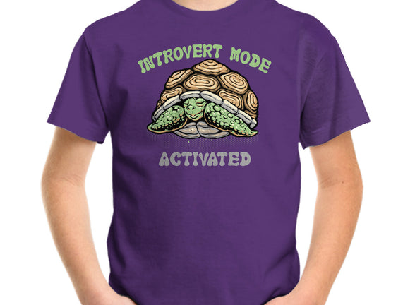 Introvert Mode Activated