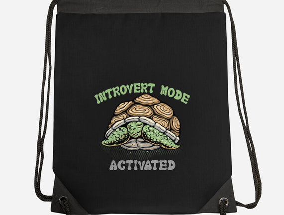 Introvert Mode Activated
