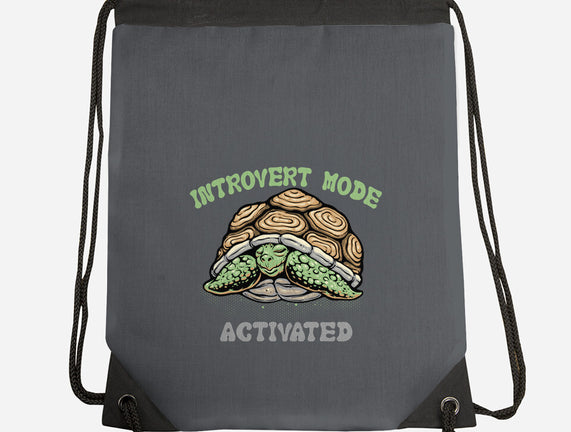 Introvert Mode Activated