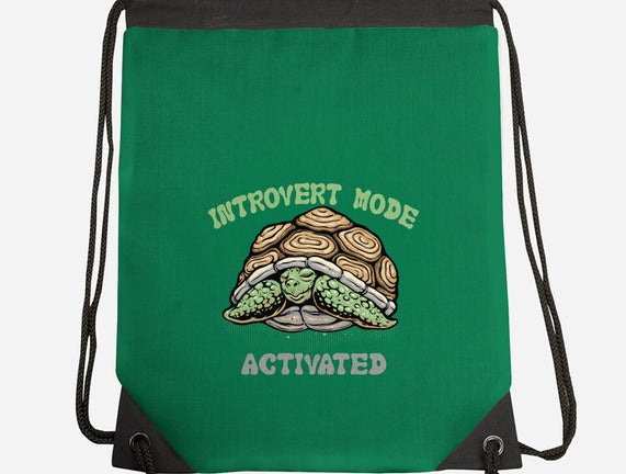 Introvert Mode Activated