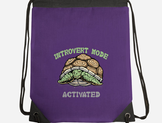 Introvert Mode Activated