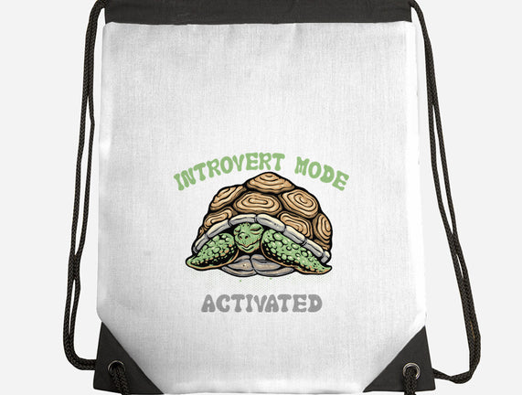 Introvert Mode Activated
