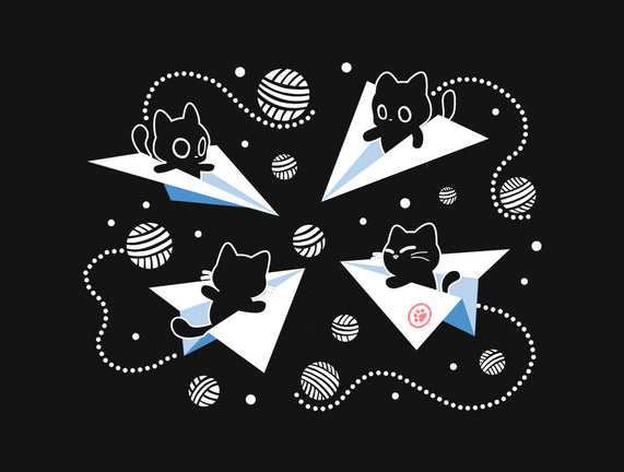 PawPlane Tour
