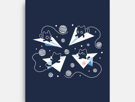 PawPlane Tour