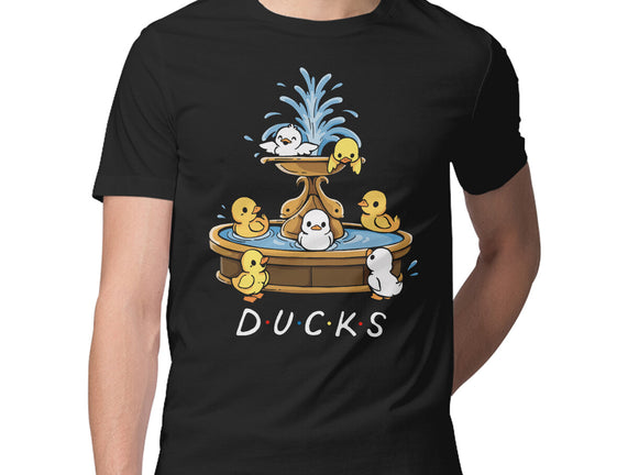 Duck Friends