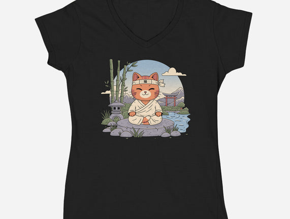 Meditating Cat