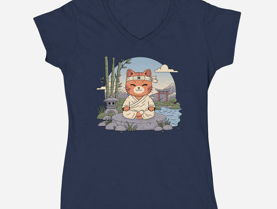 Meditating Cat