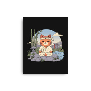 Meditating Cat