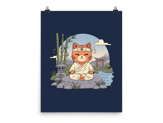 Meditating Cat
