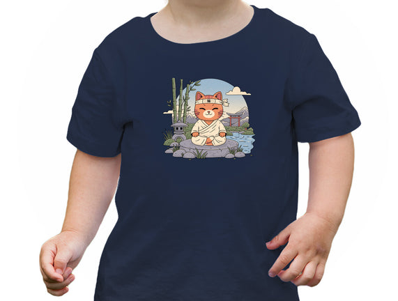 Meditating Cat