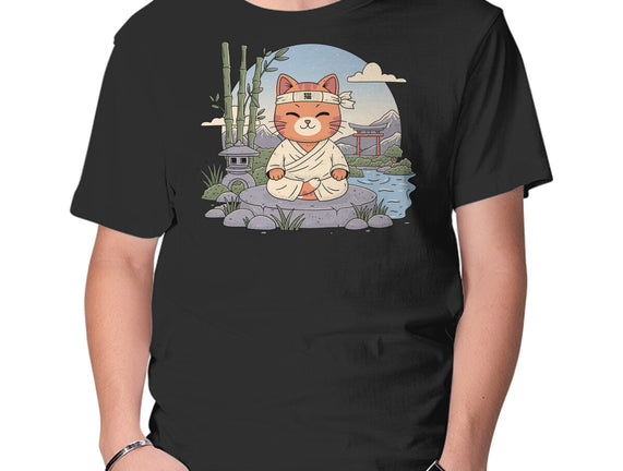 Meditating Cat